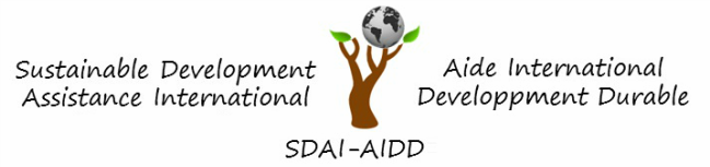 SDAI-AIDD